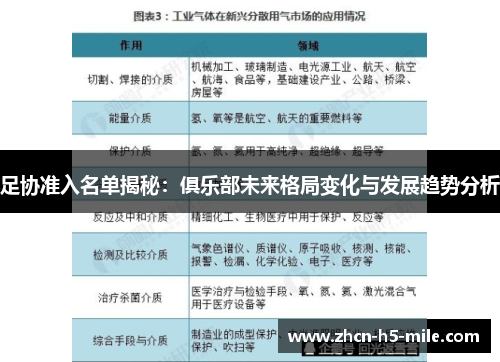 足协准入名单揭秘:俱乐部未来格局变化与发展趋势分析 足协准入名单揭秘:俱乐部未来格局变化与发展趋势分析