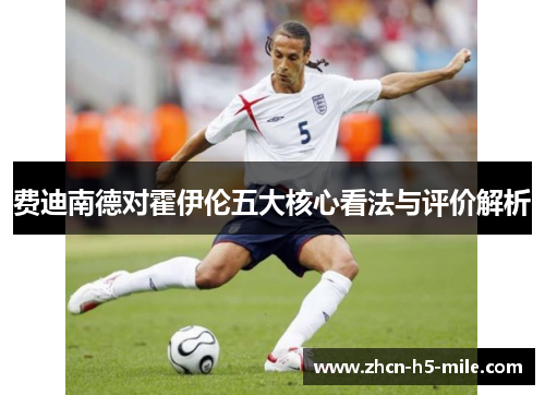 费迪南德对霍伊伦五大核心看法与评价解析