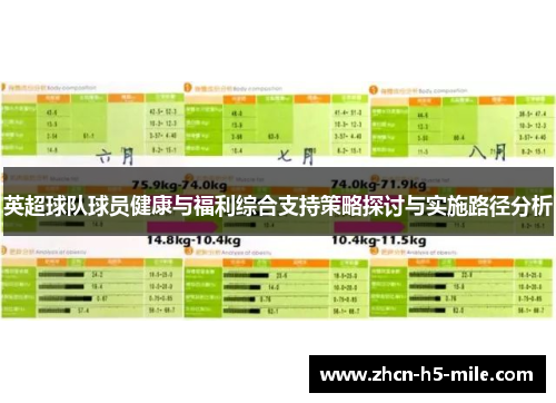 英超球队球员健康与福利综合支持策略探讨与实施路径分析 英超球队球员健康与福利综合支持策略探讨与实施路径分析