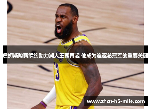 詹姆斯降薪续约助力湖人王朝再起 他成为追逐总冠军的重要关键 詹姆斯降薪续约助力湖人王朝再起 他成为追逐总冠军的重要关键