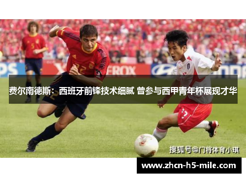 费尔南德斯:西班牙前锋技术细腻 曾参与西甲青年杯展现才华 费尔南德斯:西班牙前锋技术细腻 曾参与西甲青年杯展现才华