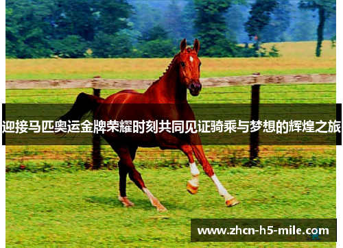 迎接马匹奥运金牌荣耀时刻共同见证骑乘与梦想的辉煌之旅 迎接马匹奥运金牌荣耀时刻共同见证骑乘与梦想的辉煌之旅